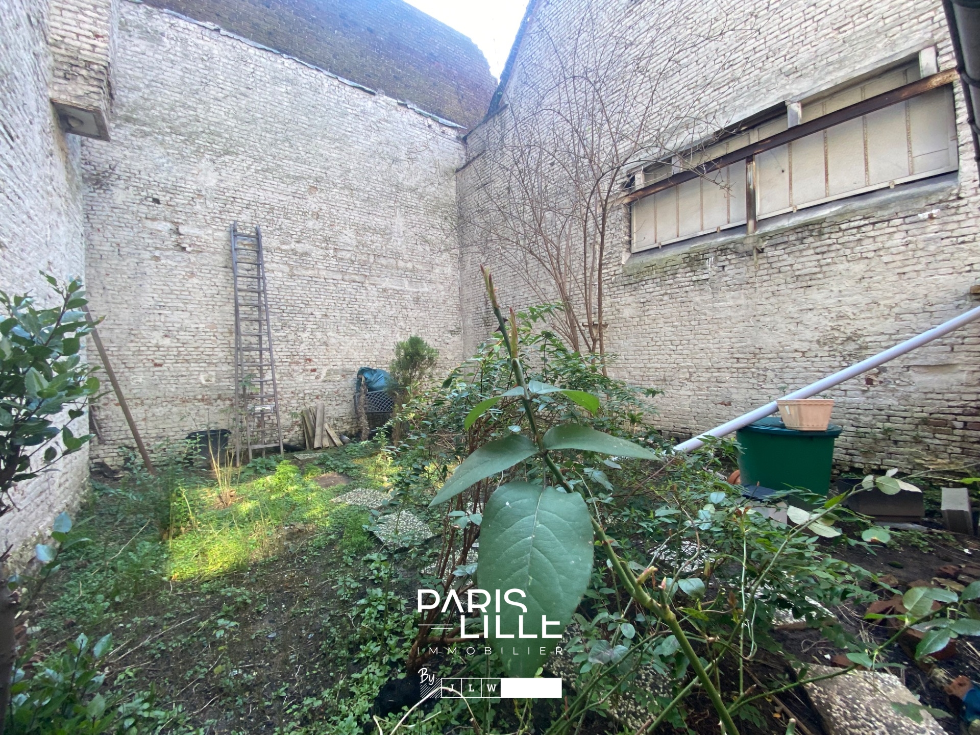 Maison 150m2 jardin et cour vieux lille Photo 4 - Paris Lille Immobilier